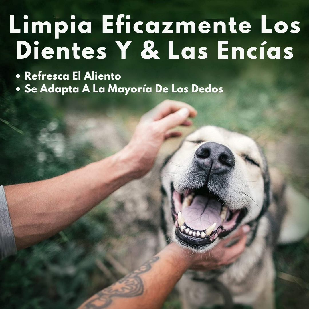 Toallitas Dentales Chiquillo Para Mascotas (50 Uds.)